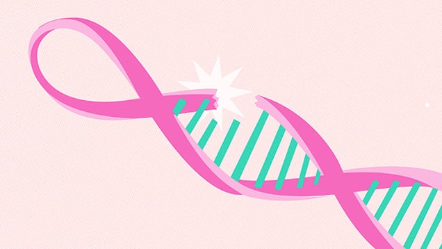 A BRCA Mutation Was Found in My Tumor. Does This Mean I'm a BRCA Carrier? |  My Gene Counsel